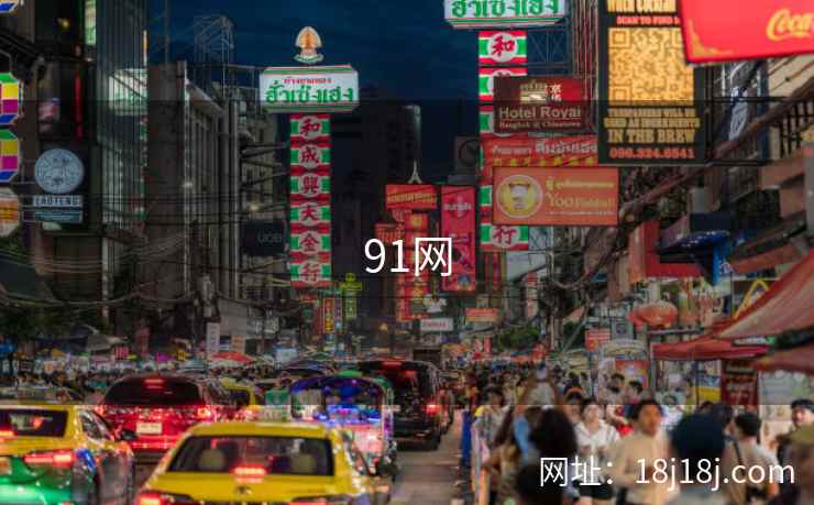 91网 第1张