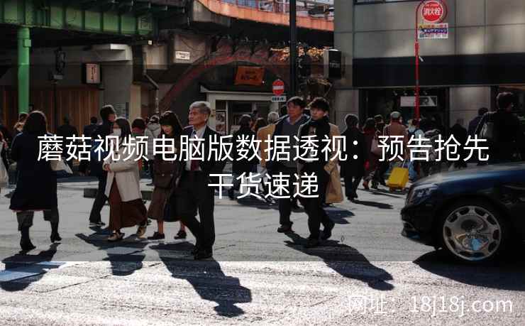 蘑菇视频电脑版数据透视：预告抢先干货速递