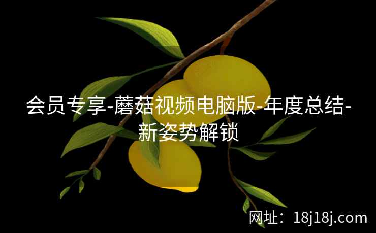 会员专享-蘑菇视频电脑版-年度总结-新姿势解锁