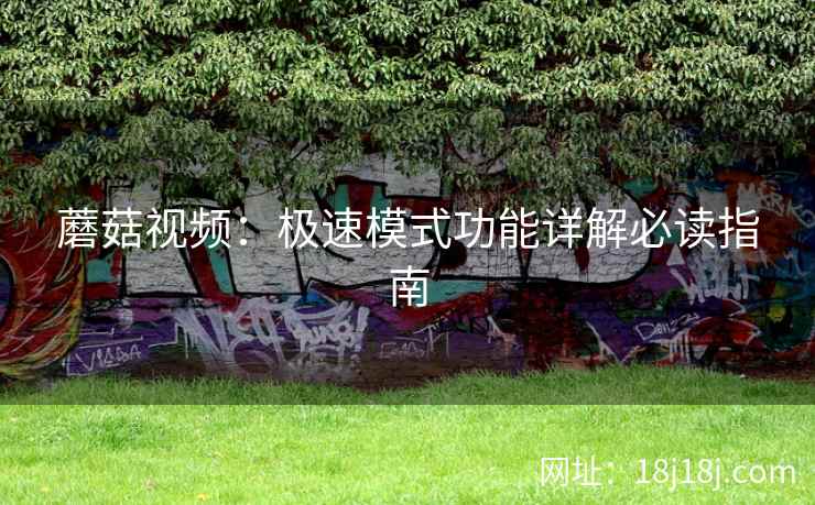 蘑菇视频：极速模式功能详解必读指南