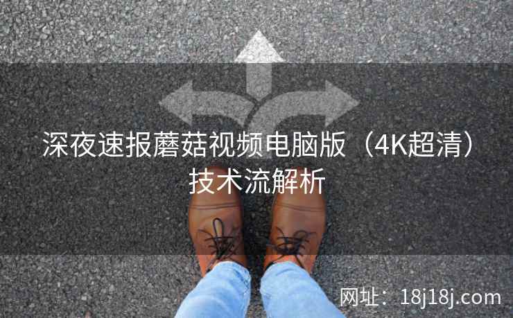 深夜速报蘑菇视频电脑版（4K超清）技术流解析