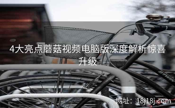 4大亮点蘑菇视频电脑版深度解析惊喜升级