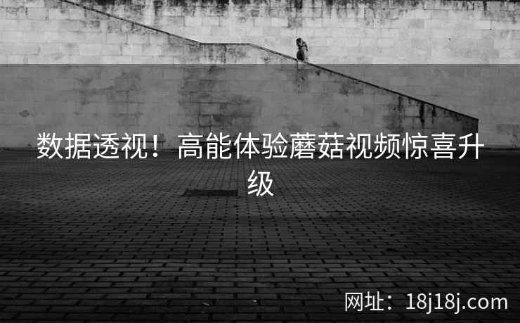 数据透视！高能体验蘑菇视频惊喜升级