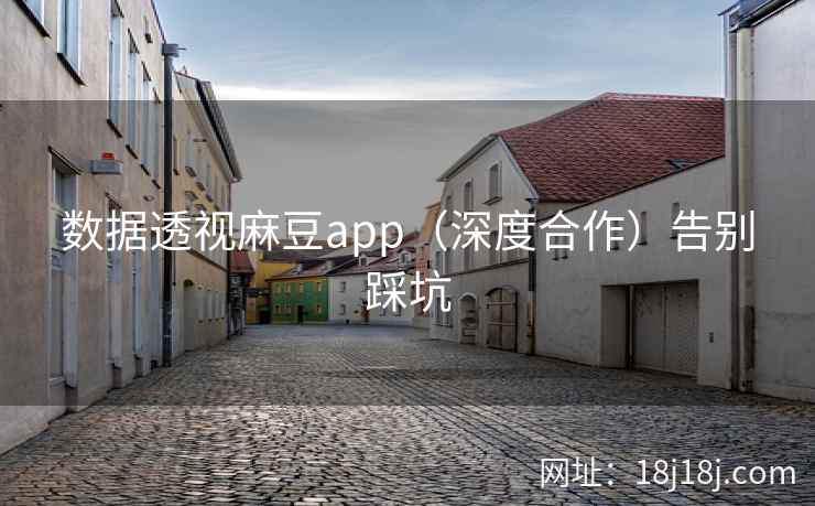 数据透视麻豆app（深度合作）告别踩坑