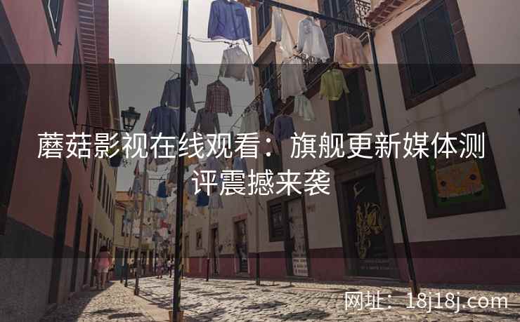 蘑菇影视在线观看：旗舰更新媒体测评震撼来袭