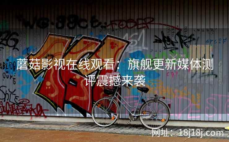 蘑菇影视在线观看：旗舰更新媒体测评震撼来袭