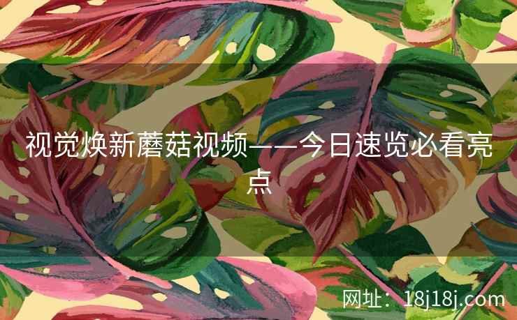 视觉焕新蘑菇视频——今日速览必看亮点