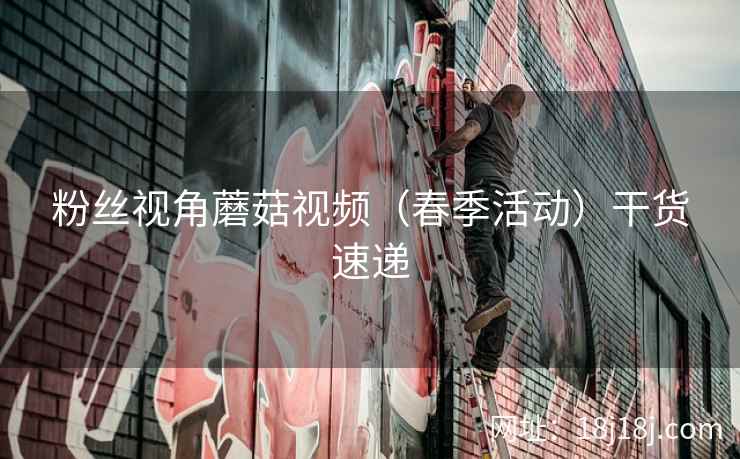 粉丝视角蘑菇视频（春季活动）干货速递